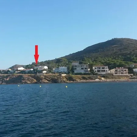 Estrella Del Mar *